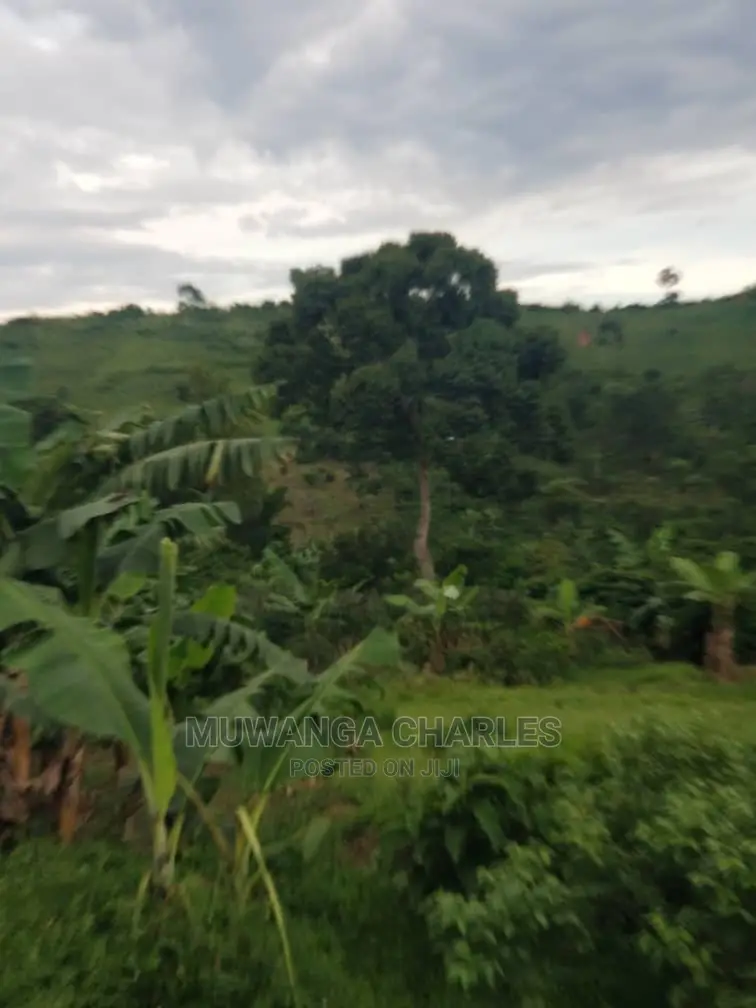 10acrs of Land for Sale at Luwero in Central Division