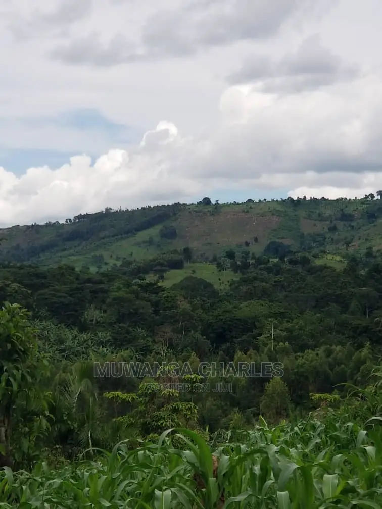 10acrs of Land for Sale at Luwero in Central Division