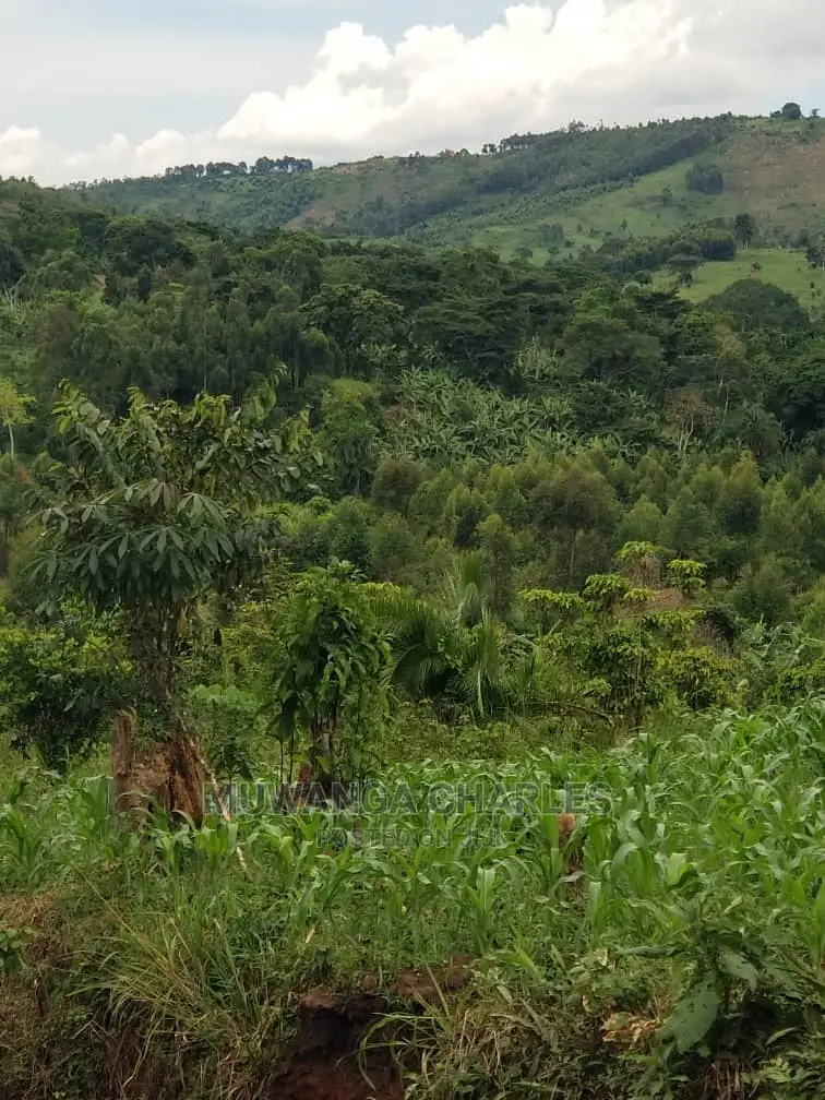 10acrs of Land for Sale at Luwero in Central Division