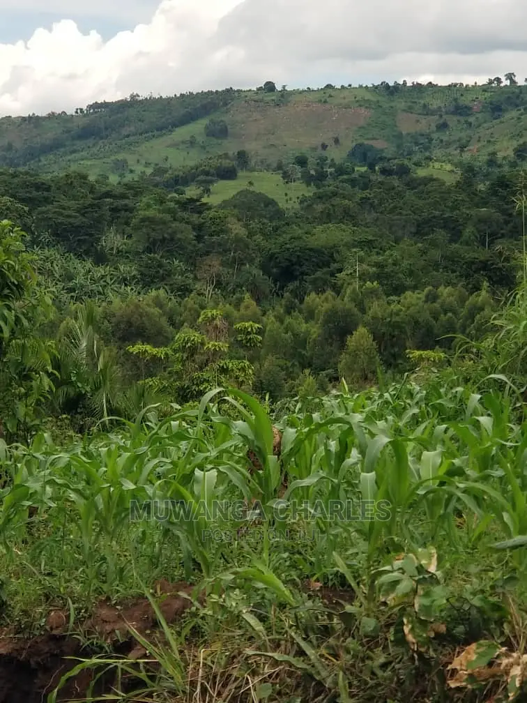 10acrs of Land for Sale at Luwero in Central Division