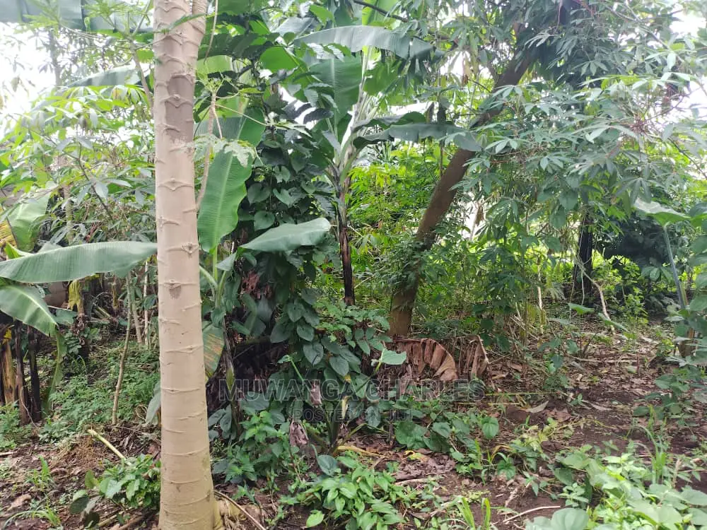 100by50ft Plot of Land for Sale at Gayaza Kijabijo in Central Division