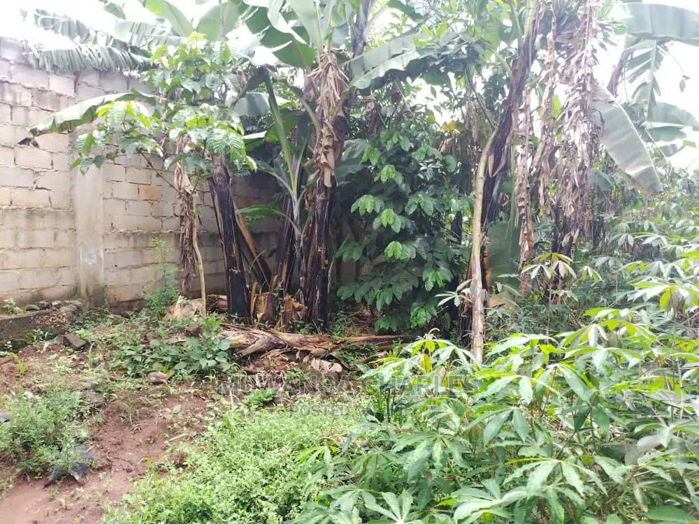 100by50ft Plot of Land for Sale at Gayaza Kijabijo in Central Division