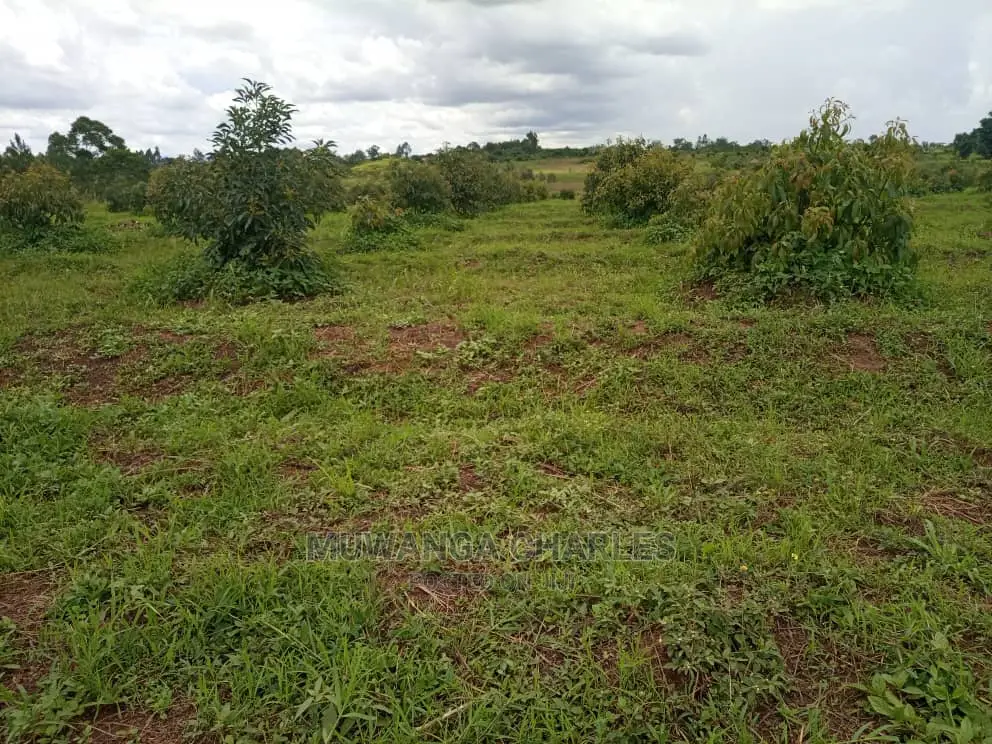 100by50ft Plot for Sale at Gayaza Kabubu in Central Division