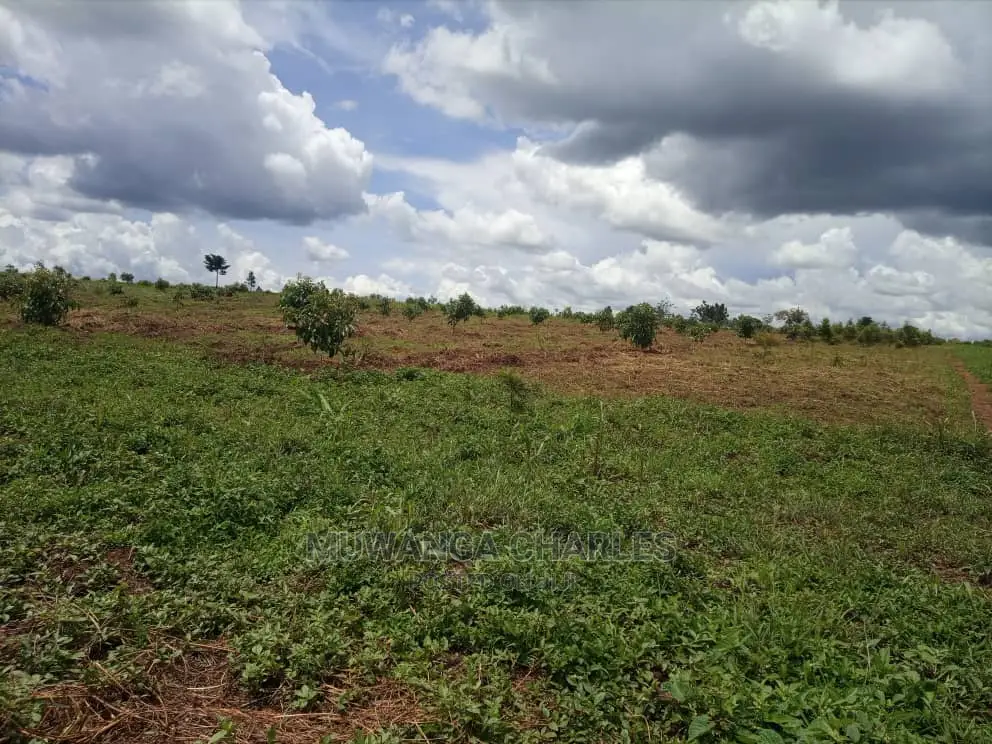 100by50ft Plot for Sale at Gayaza Kabubu in Central Division