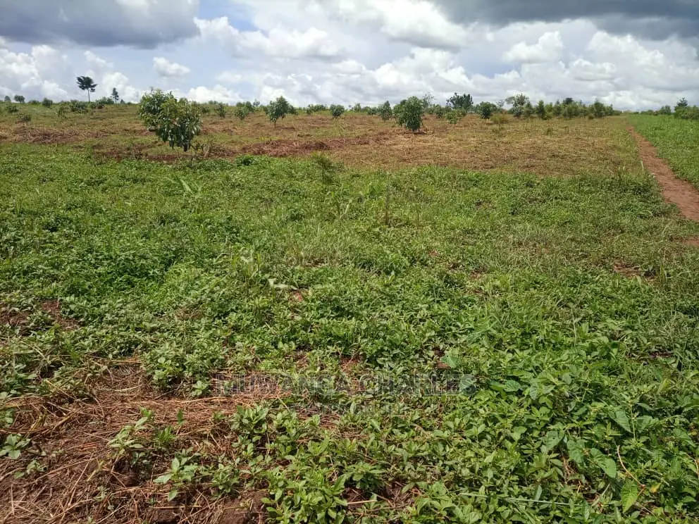 100by50ft Plot for Sale at Gayaza Kabubu in Central Division