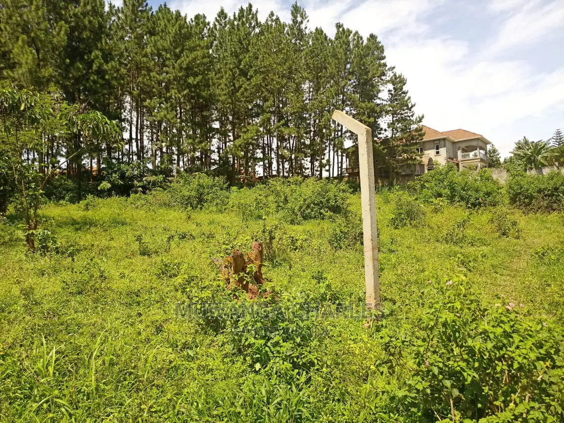 100by50ft Plot for Sale at Kira in Central Division