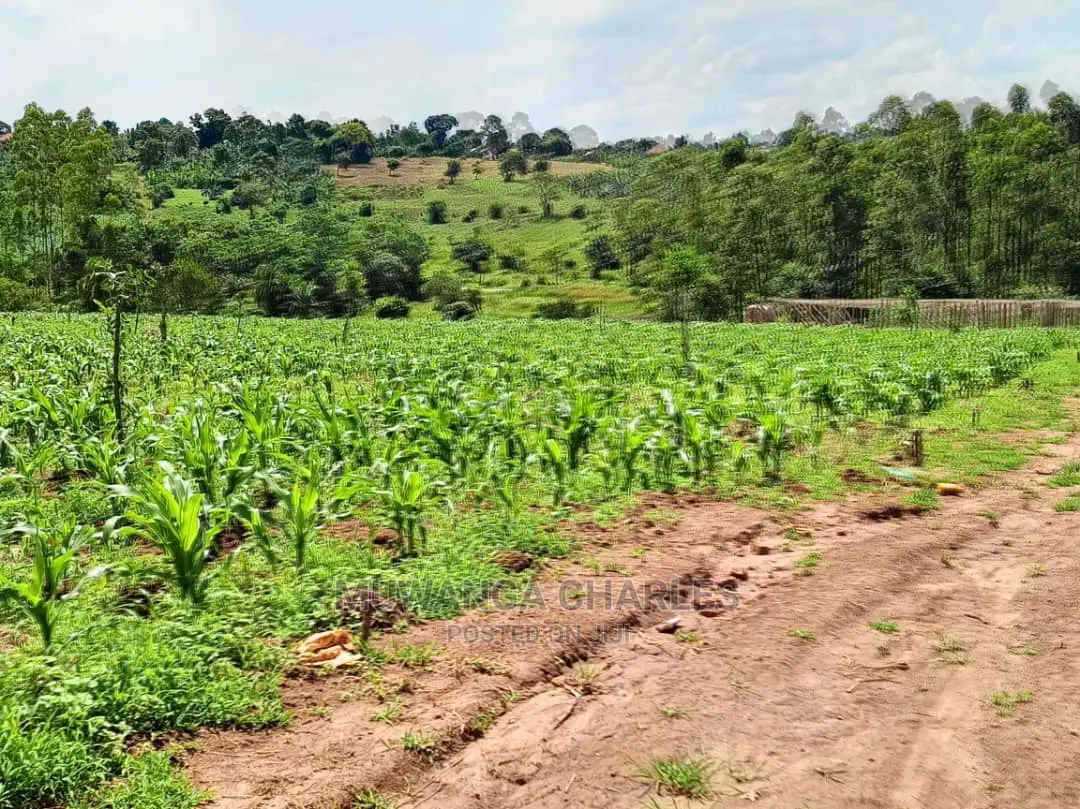 Plots for Sale at Gayaza in Central Division