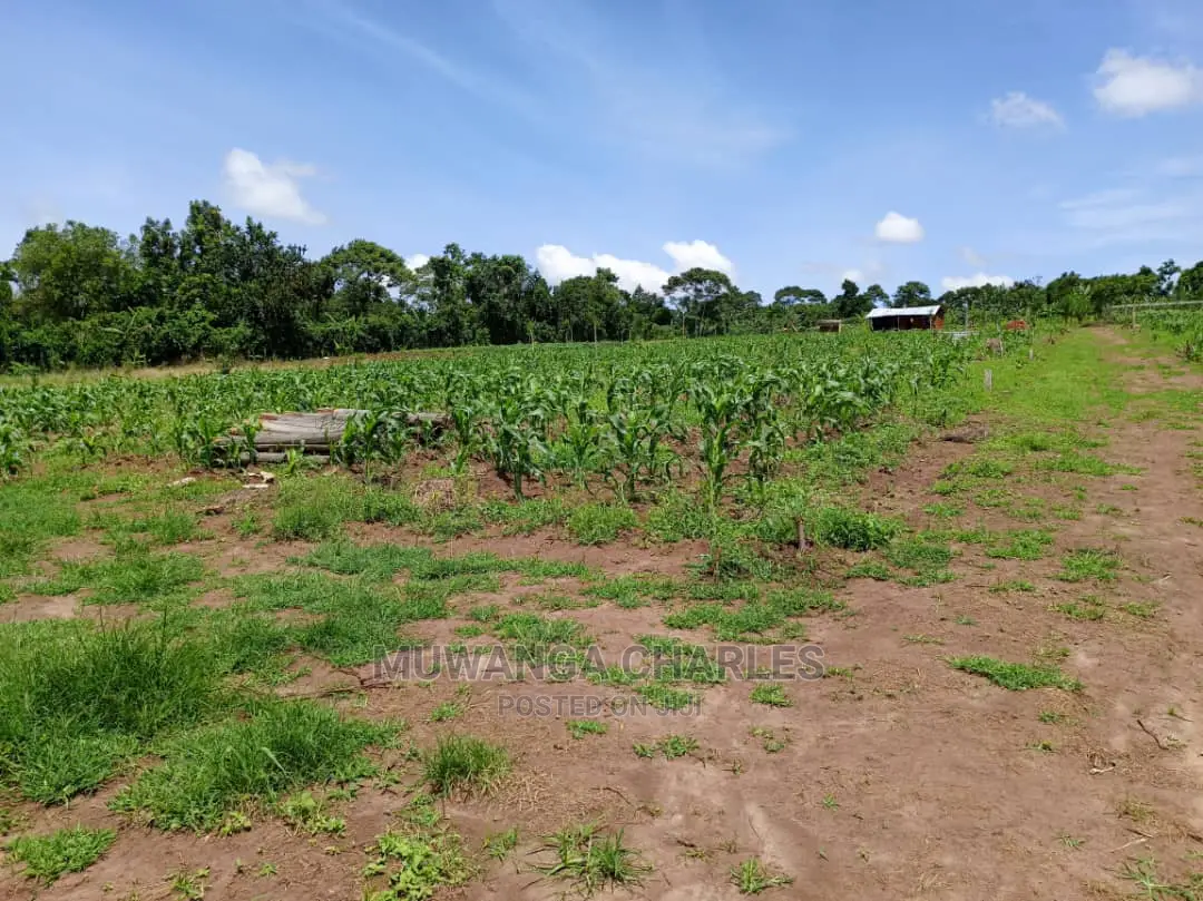 Plots for Sale at Gayaza in Central Division