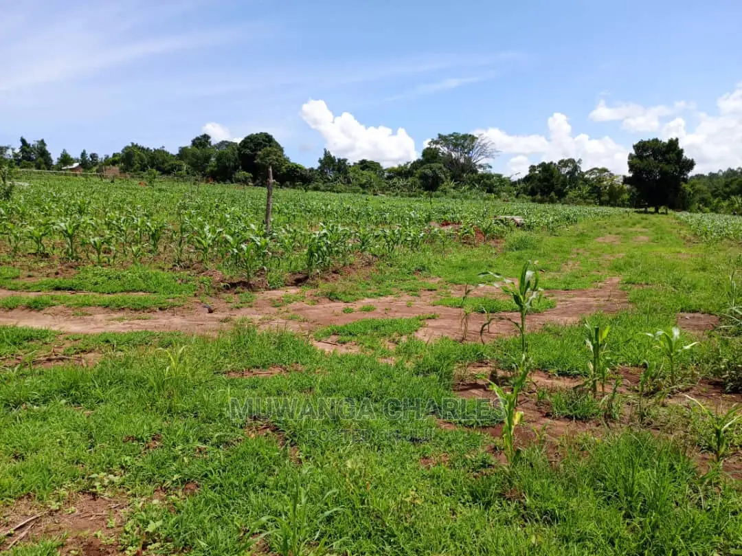 Plots for Sale at Gayaza in Central Division