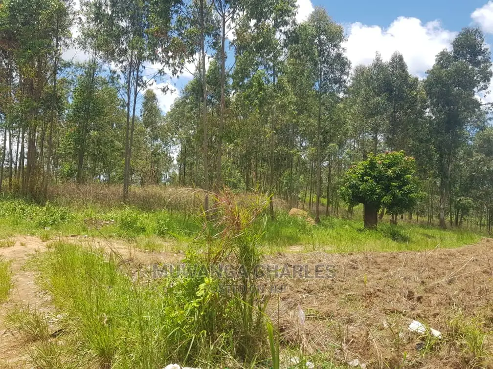 100by50ft Plot for Sale at Gayaza Kiwenda in Central Division