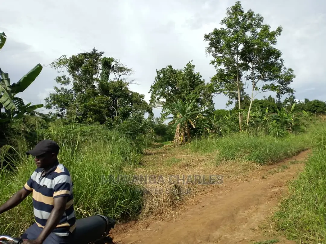 100by50ft Plot for Sale at Kira Kitikifumba in Central Division
