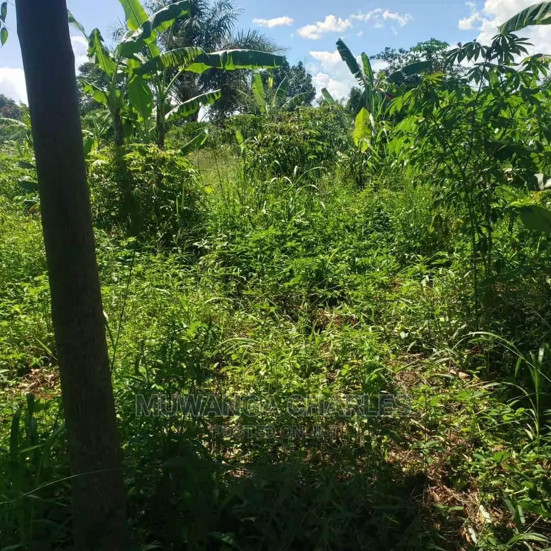 2acres for Sale at Luwero in Central Division