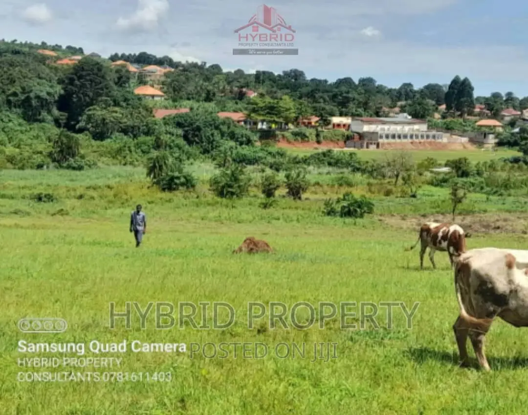 Prime Plots for Sale at Our Nkoowe~Mubango [Wakiso]~Hoima Rd in Wakiso / Wakiso