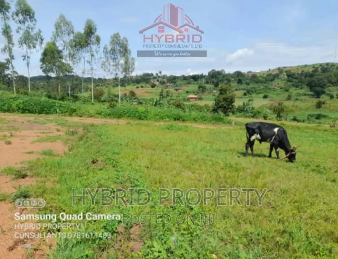 Prime Plots for Sale at Our Nkoowe~Mubango [Wakiso]~Hoima Rd in Wakiso / Wakiso