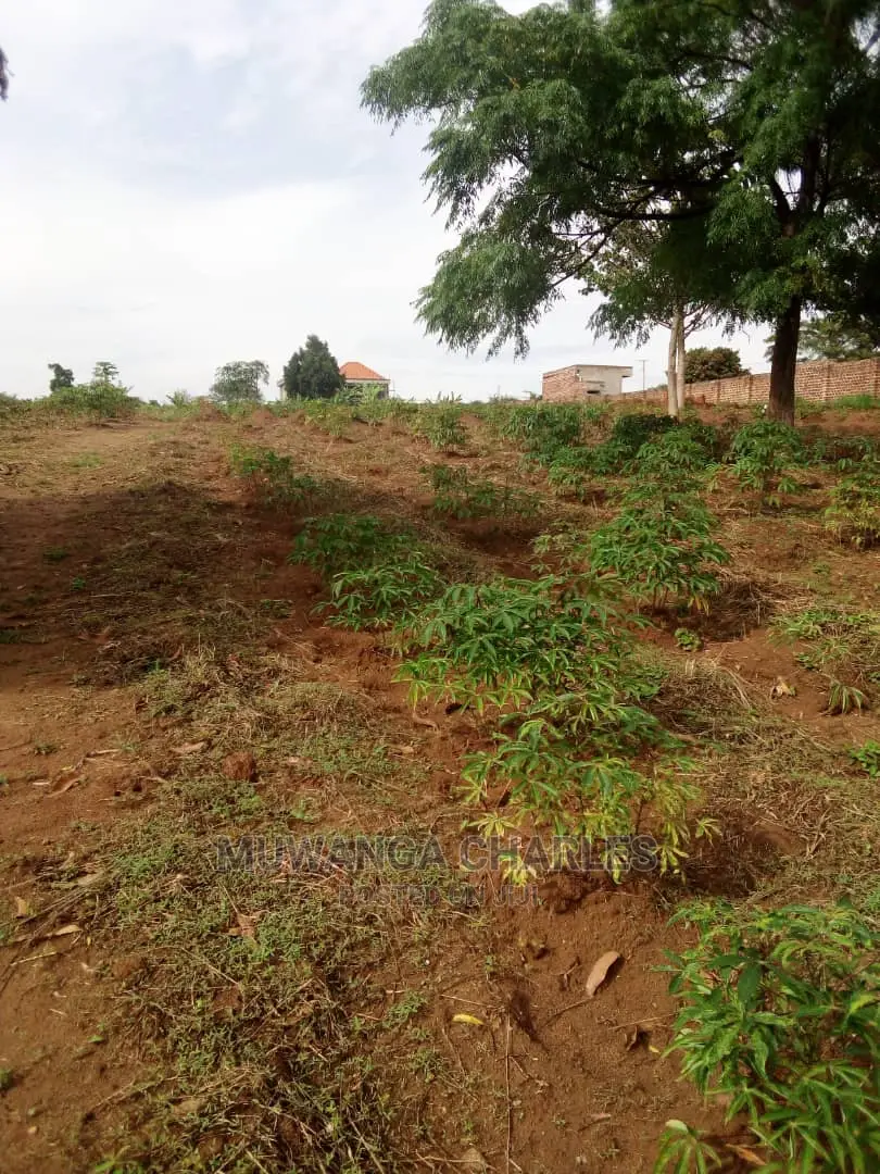 100by100ft Plot for Sale at Gayaza Nakwero in Central Division