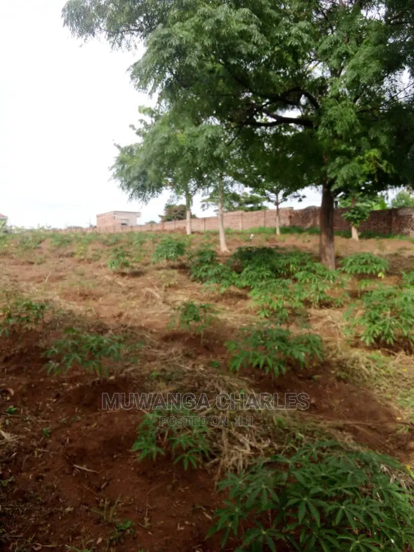 100by100ft Plot for Sale at Gayaza Nakwero in Central Division