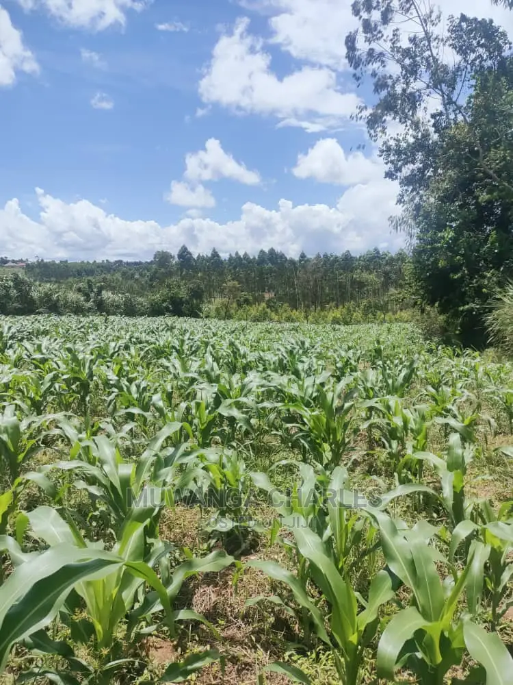 3acres of Land for Sale at Zirobwe in Central Division