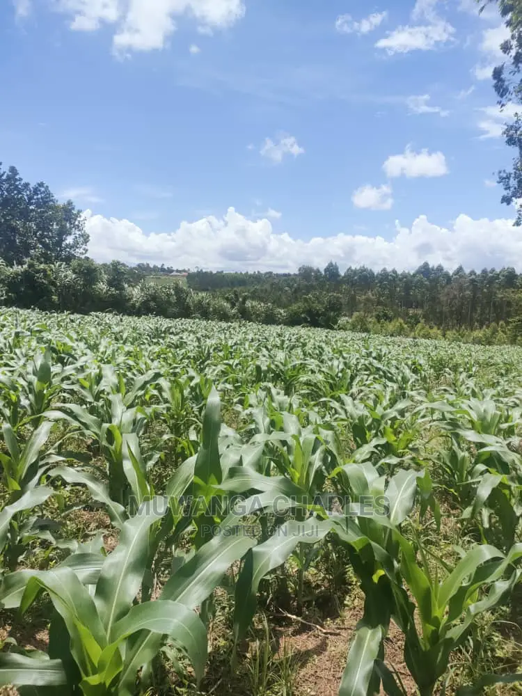 3acres of Land for Sale at Zirobwe in Central Division
