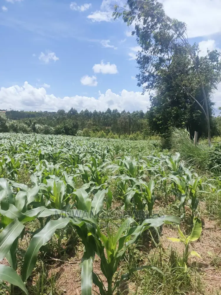 3acres of Land for Sale at Zirobwe in Central Division