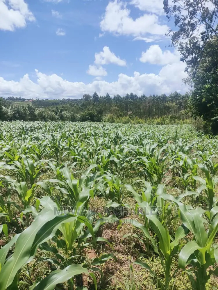 3acres of Land for Sale at Zirobwe in Central Division