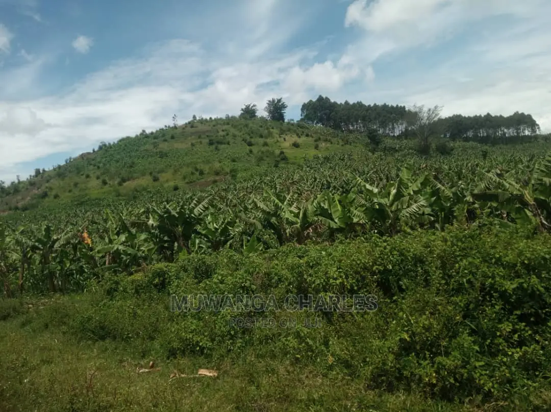 5acres of Land for Sale at Zirobwe Namawoja in Central Division
