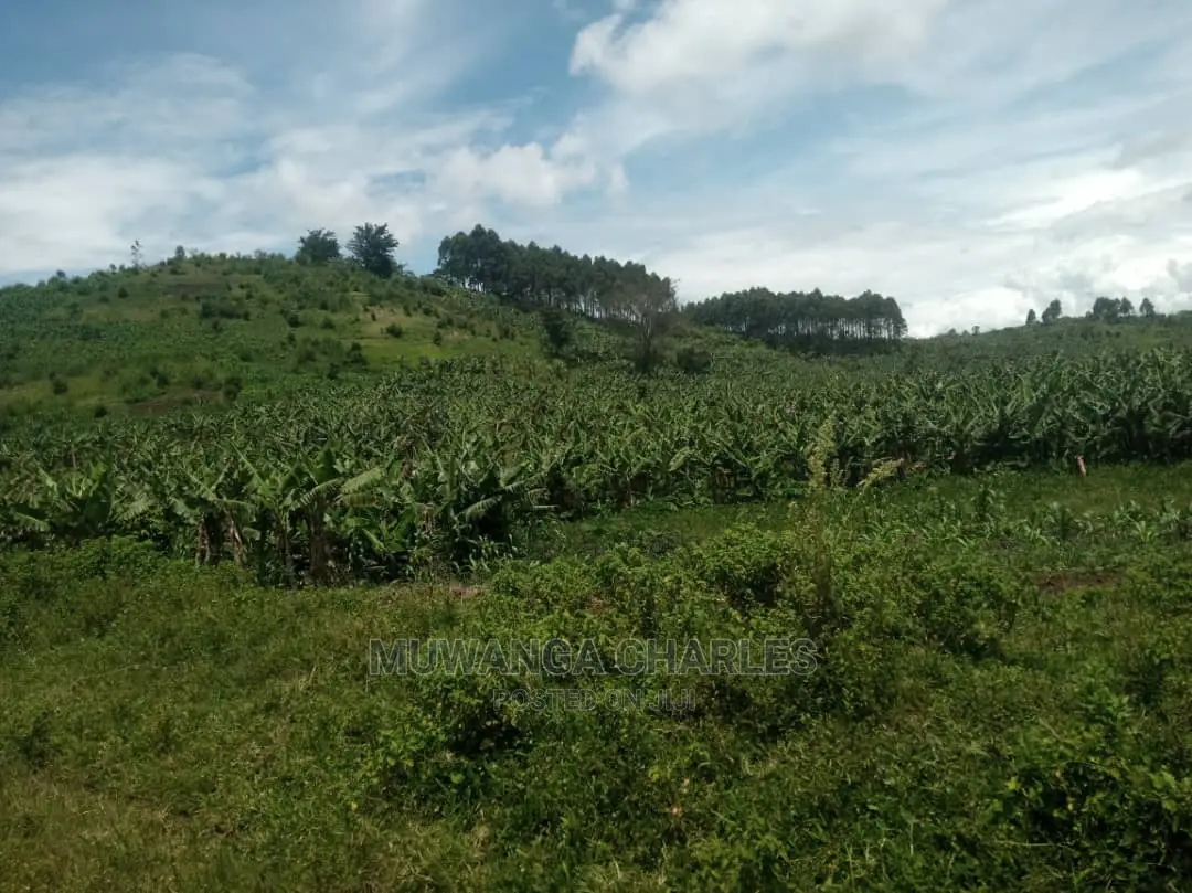 5acres of Land for Sale at Zirobwe Namawoja in Central Division