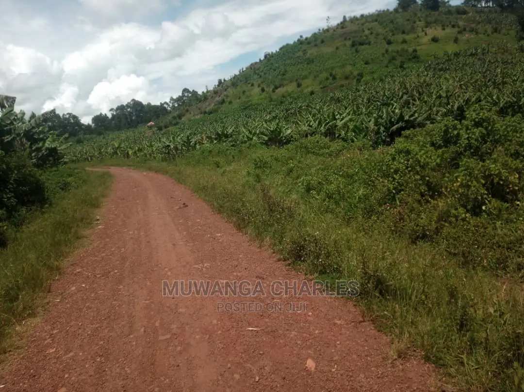 5acres of Land for Sale at Zirobwe Namawoja in Central Division