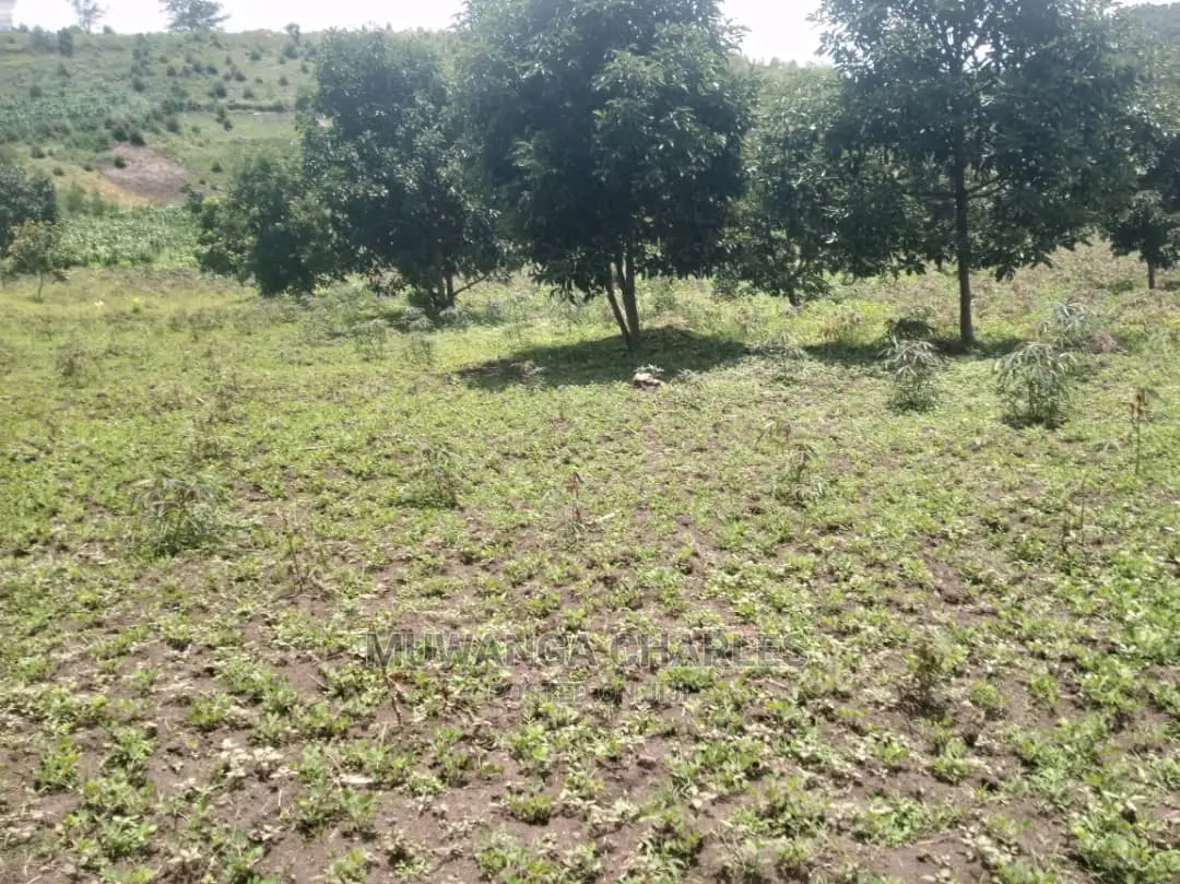 5acres of Land for Sale at Zirobwe Namawoja in Central Division