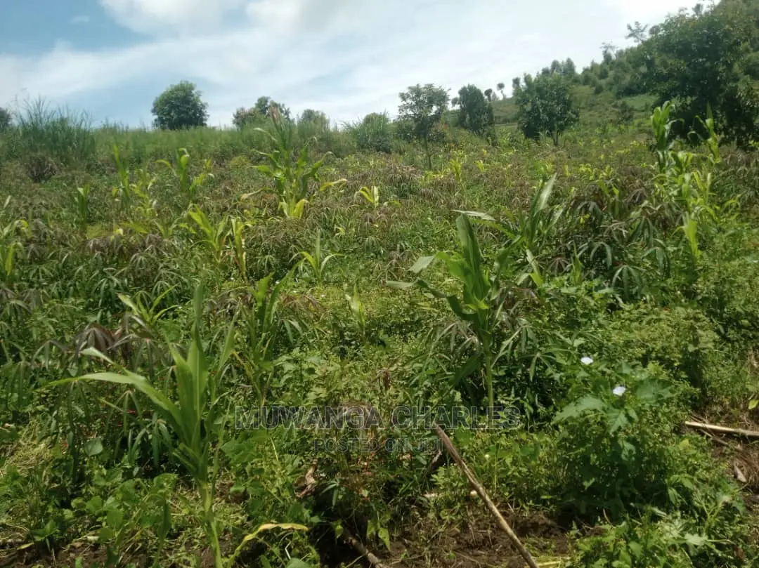 5acres of Land for Sale at Zirobwe Namawoja in Central Division