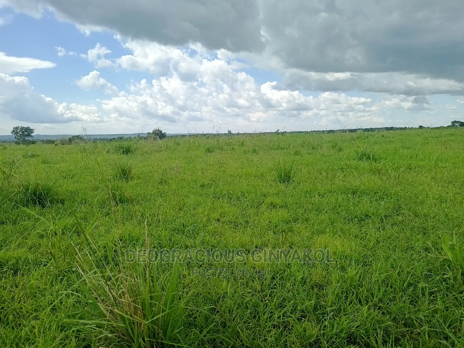 Farmland for Sale in Uganda 6000acres in Gulu