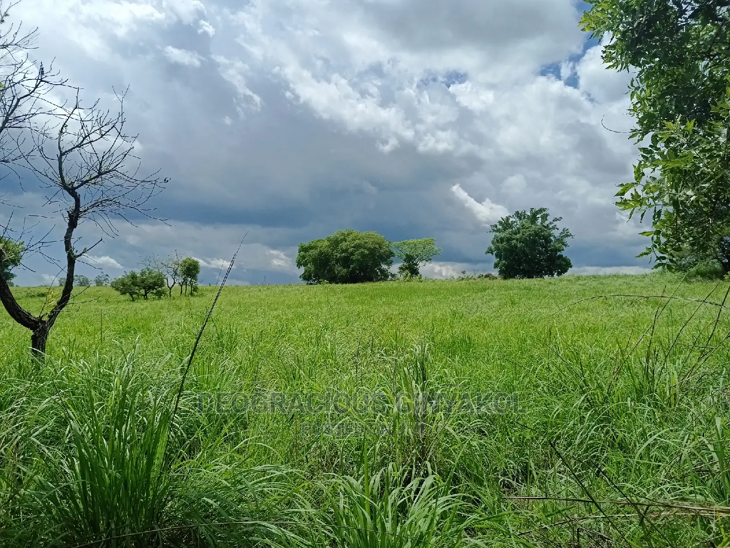 Farmland for Sale in Uganda 6000acres in Gulu