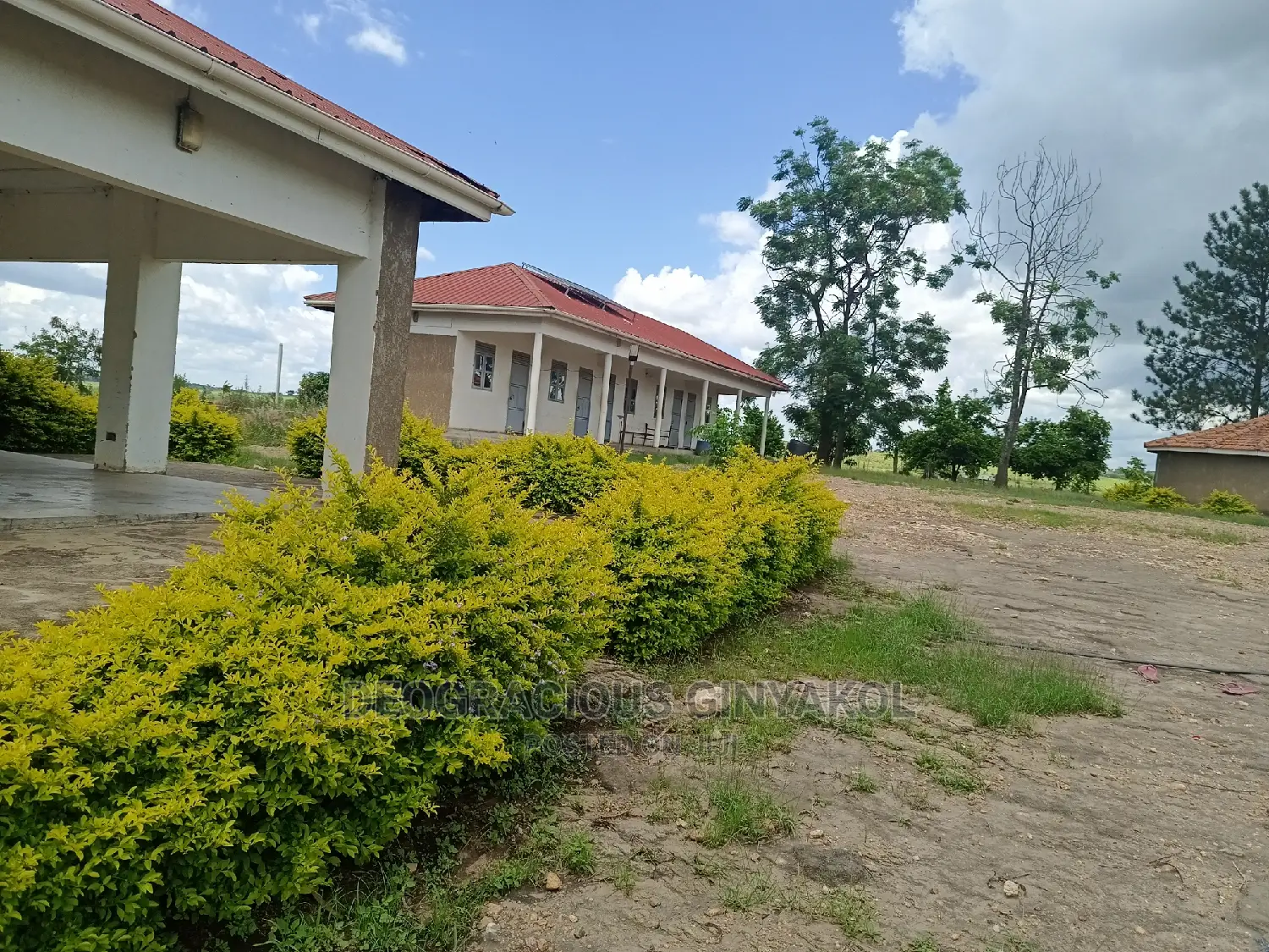 Farmland for Sale in Uganda 6000acres in Gulu
