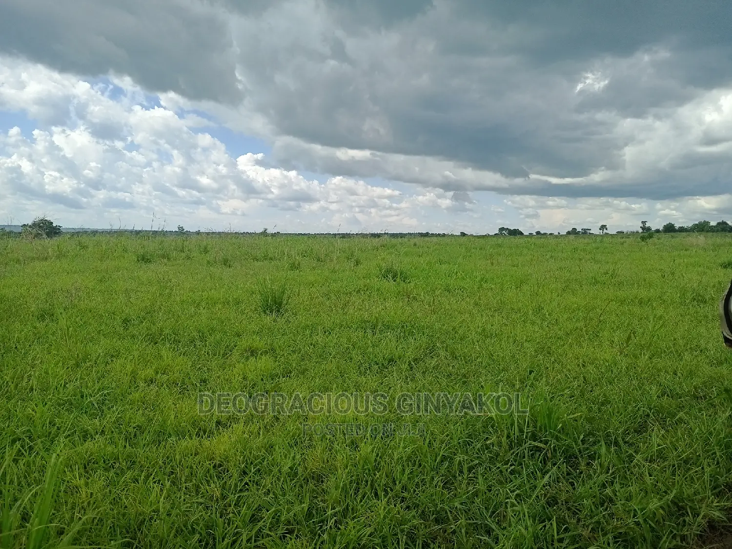 Farmland for Sale in Uganda 6000acres in Gulu