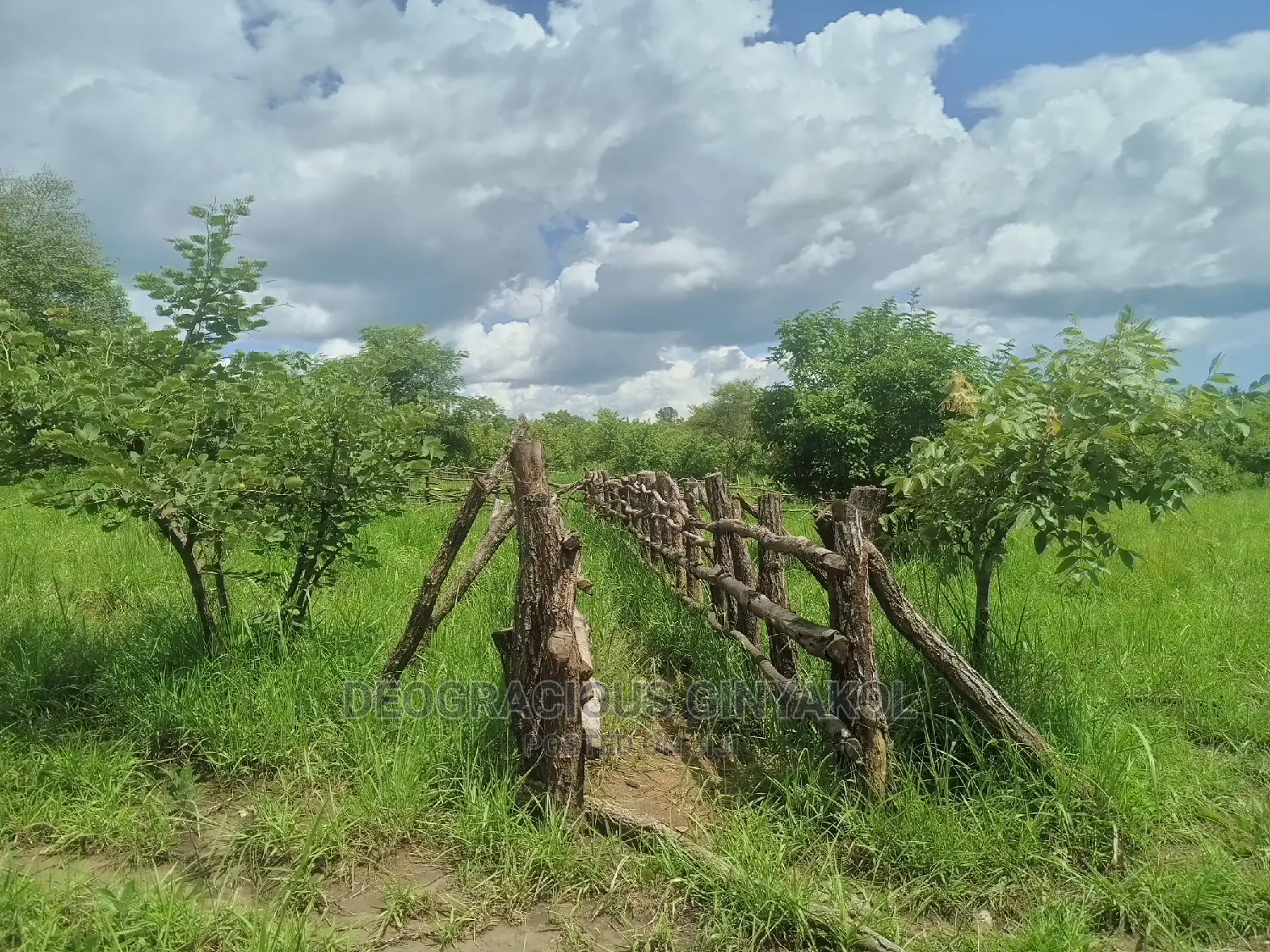 Farmland for Sale in Uganda 5000acres in Gulu