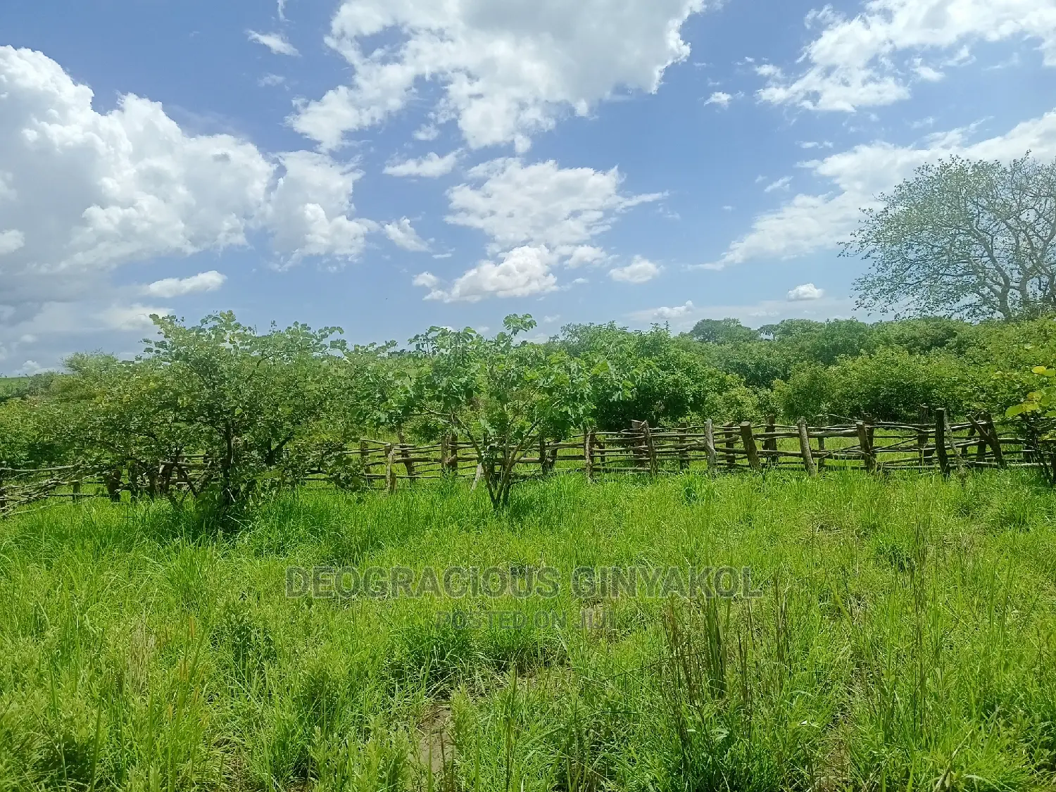 Farmland for Sale in Uganda 5000acres in Gulu