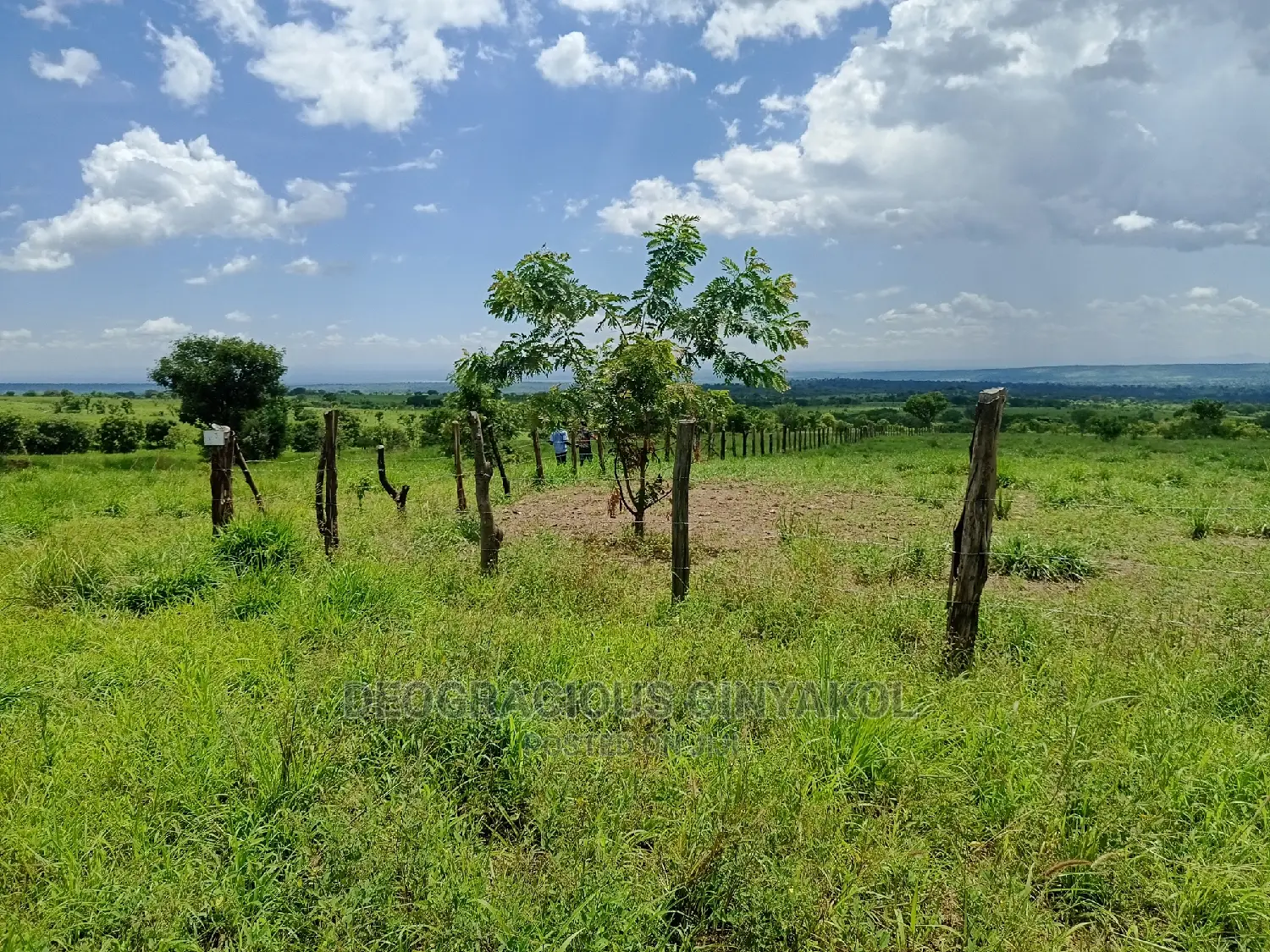 Farmland for Sale in Uganda 5000acres in Gulu