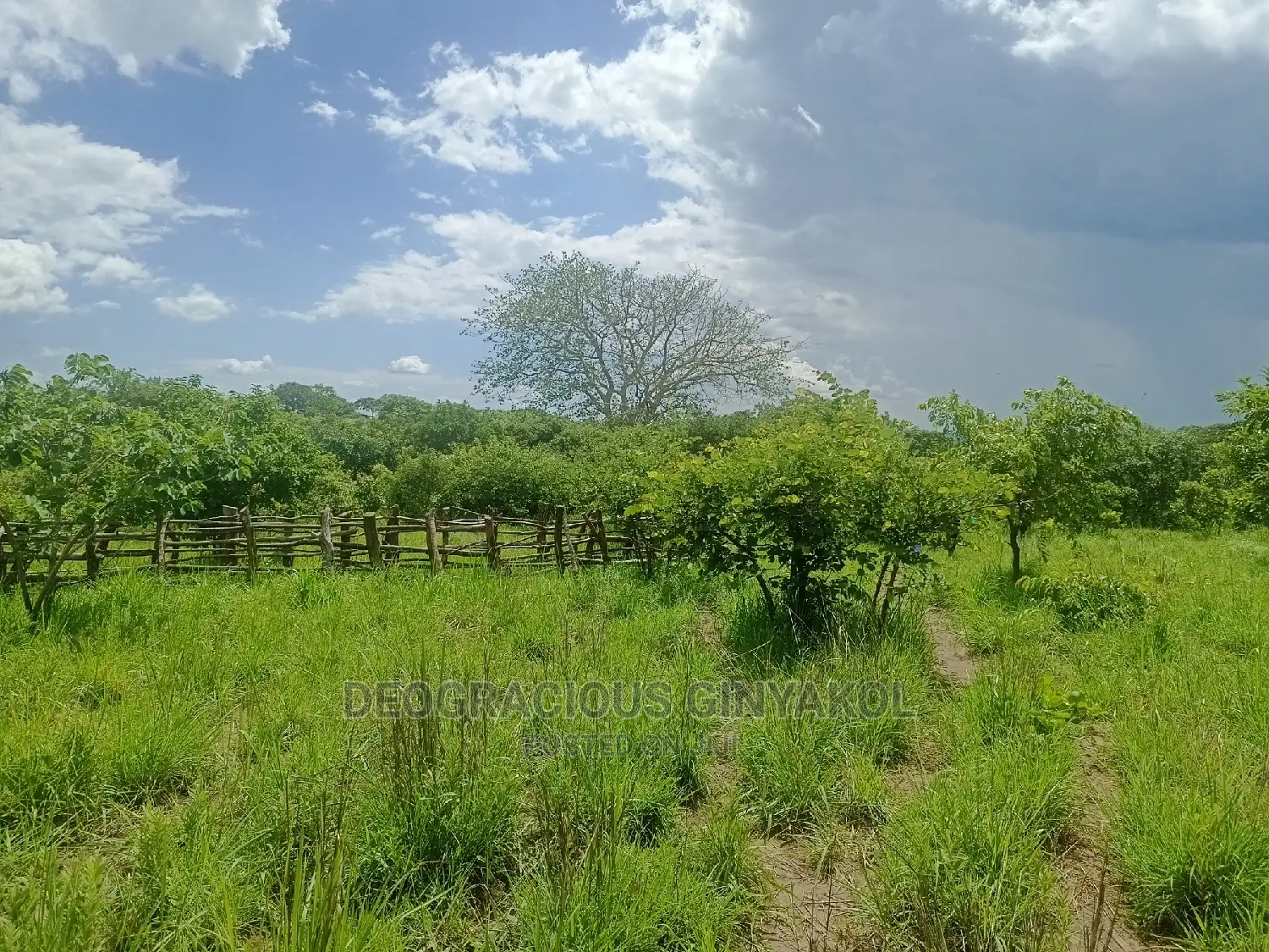 Farmland for Sale in Uganda 5000acres in Gulu