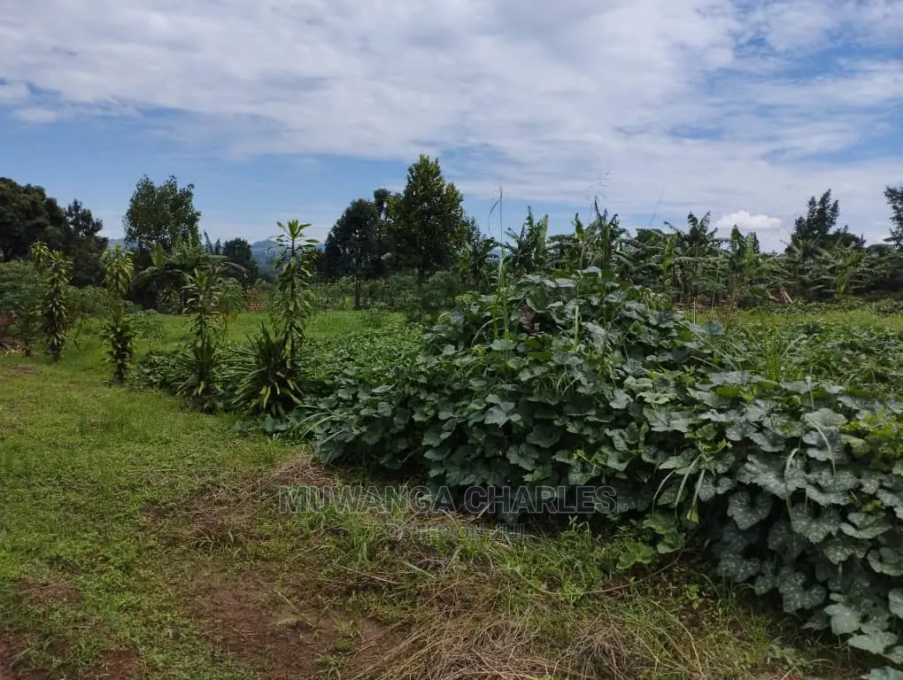 100by100ft Plot of Land for Sale at Buwate in Central Division
