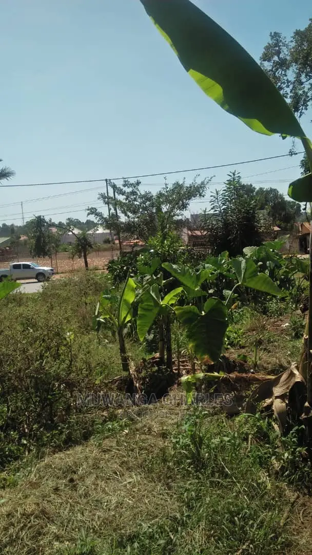 100by100ft Plot of Land for Sale at Buwate in Central Division