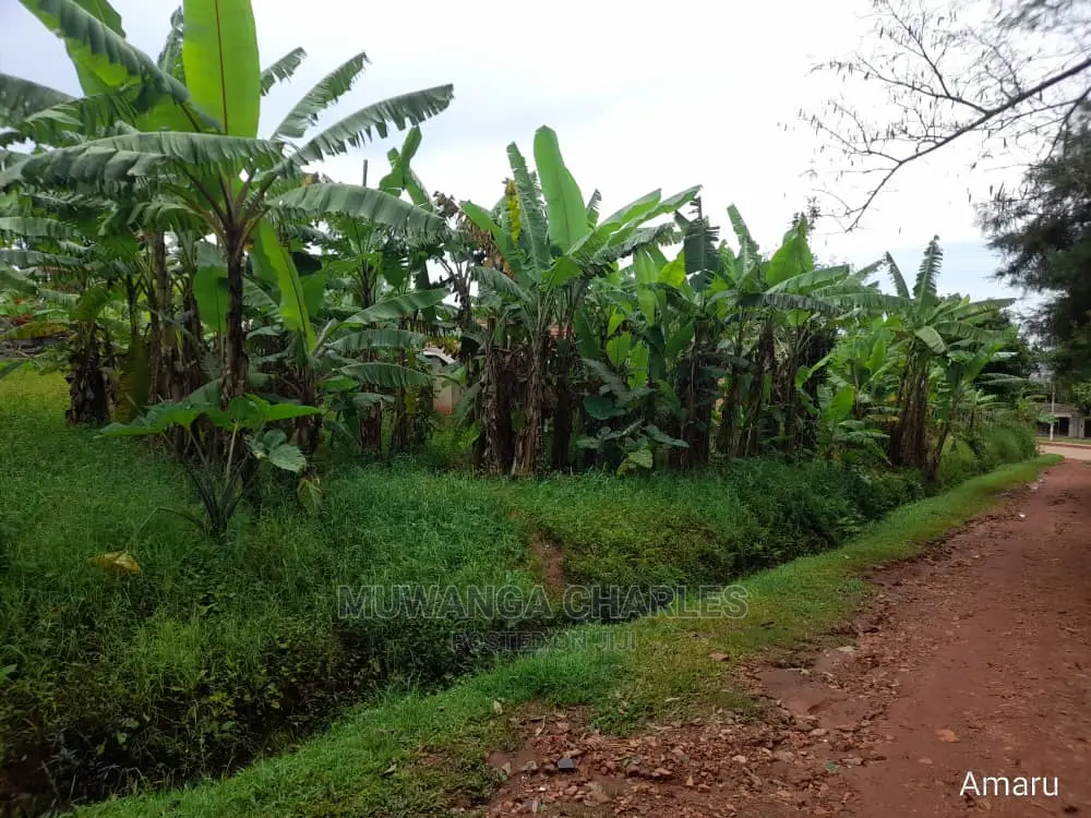 100by100ft Plot of Land for Sale at Buwate in Central Division
