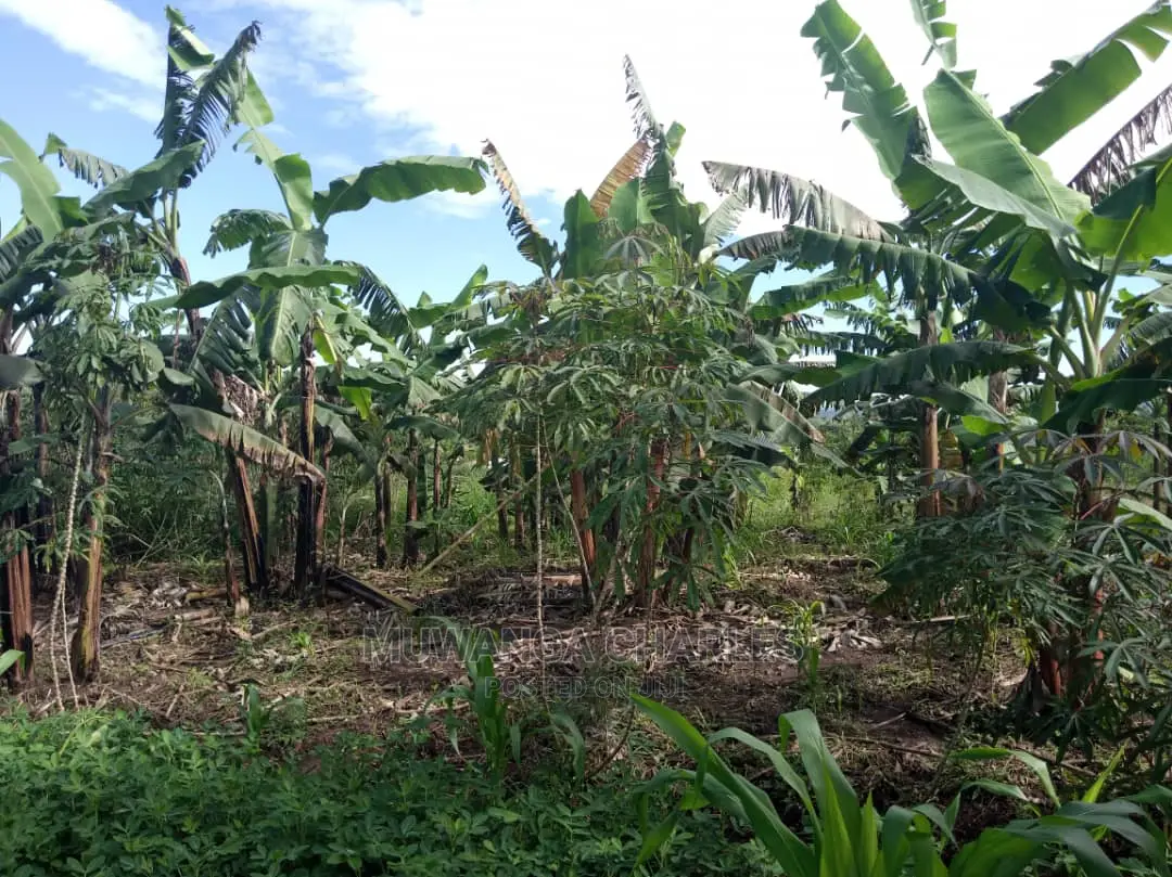 2acres of Land for Sale at Kikyusa in Central Division