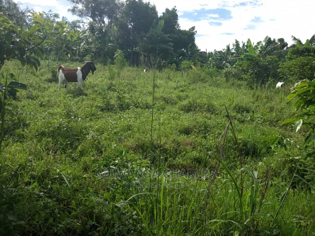 2acres of Land for Sale at Kikyusa in Central Division