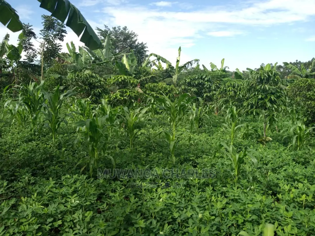 2acres of Land for Sale at Kikyusa in Central Division