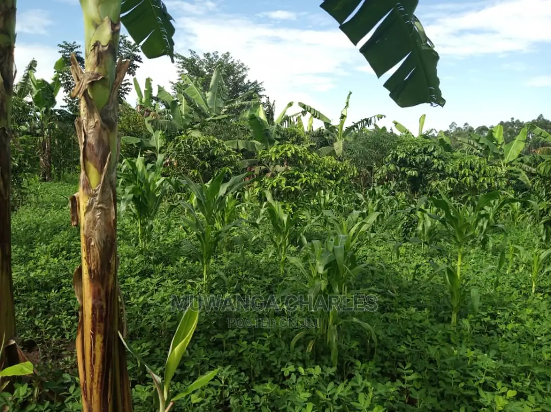 2acres of Land for Sale at Kikyusa in Central Division