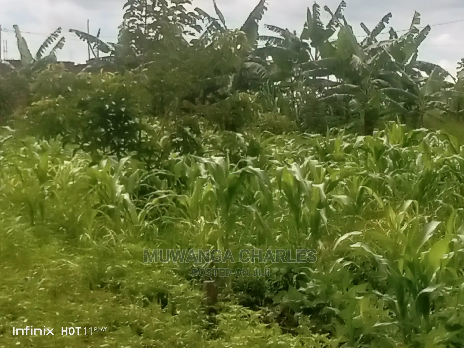 12decimals Plot for Sale at Kira Kimwanyi in Central Division