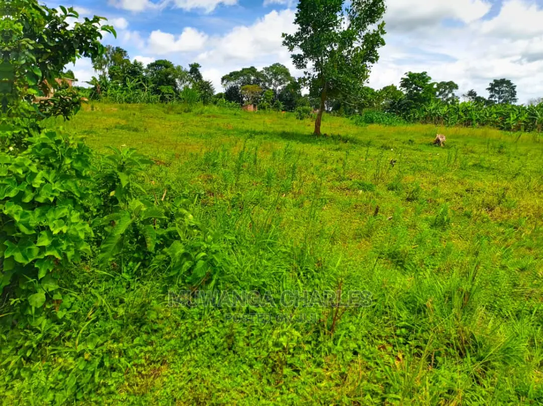 12decimals Plot for Sale at Kira Kimwanyi in Central Division