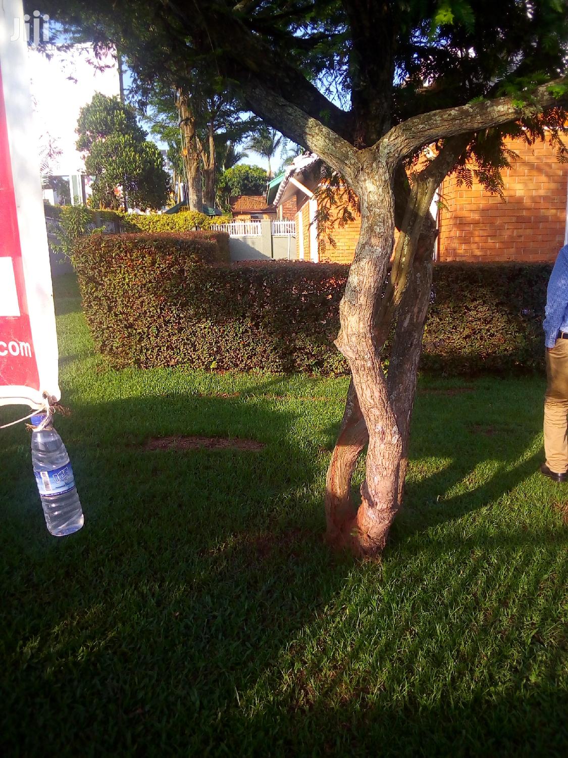 House For Rent in Kampala