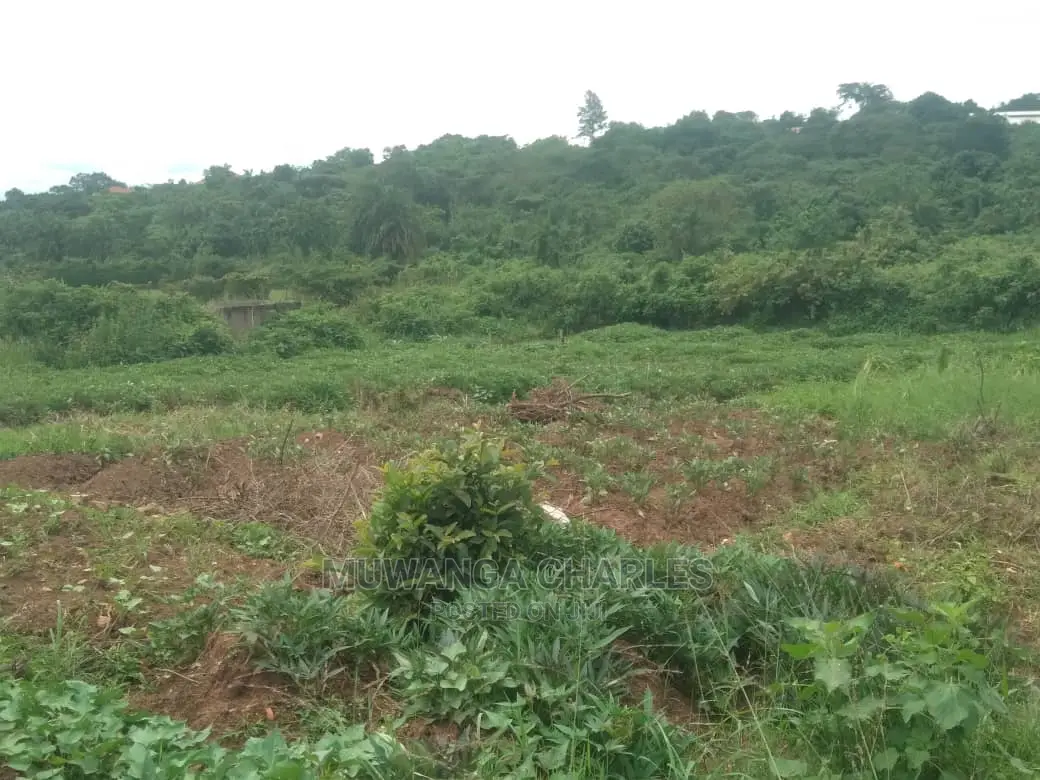 12decimals Plot of Land for Sale at Nakwero in Central Division