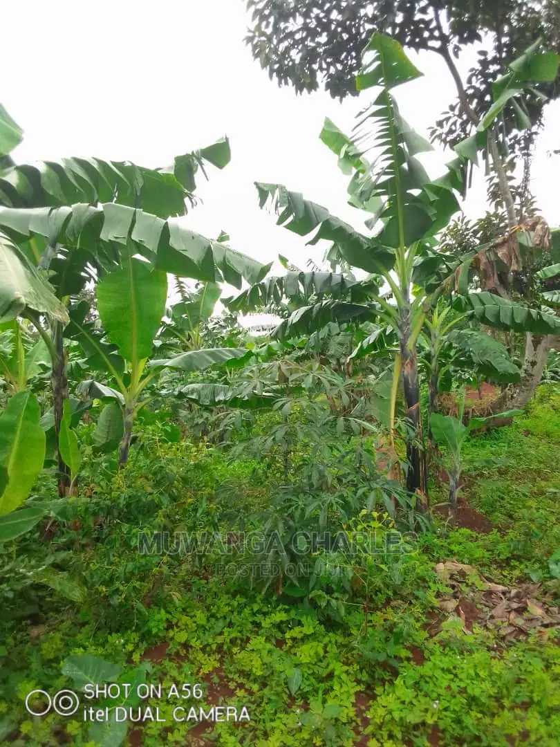 2acres of Land for Sale at Wabutungulu in Central Division