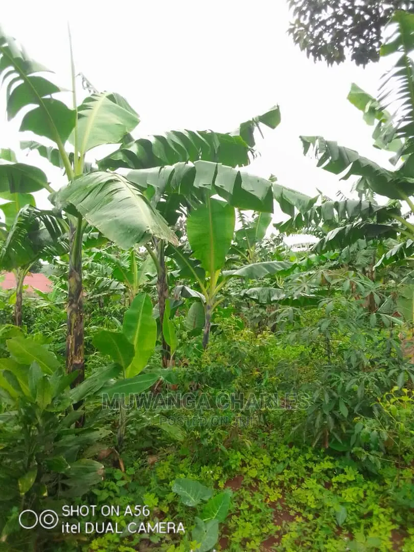 2acres of Land for Sale at Wabutungulu in Central Division